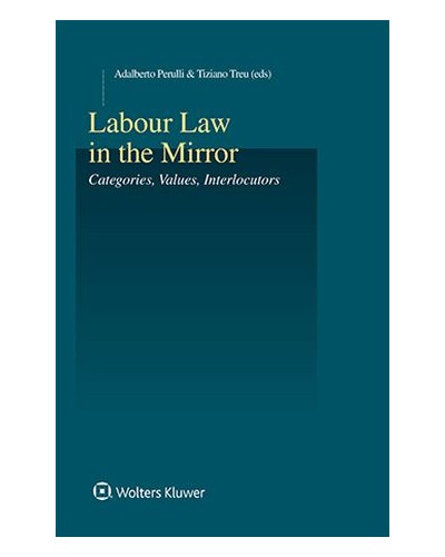 Labour Law in the Mirror: Categories, Values, Interlocutors