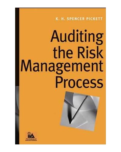 Auditing the Risk Management Process