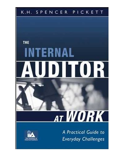The Internal Auditor at Work: A Practical Guide to Everyday Challenges