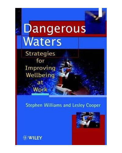 Dangerous Waters: Strategies for Improving Wellbeing at Work
