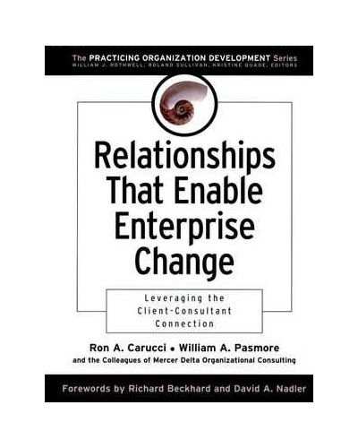 Relationships That Enable Enterprise Change: Leveraging the Client-Consultant Connection