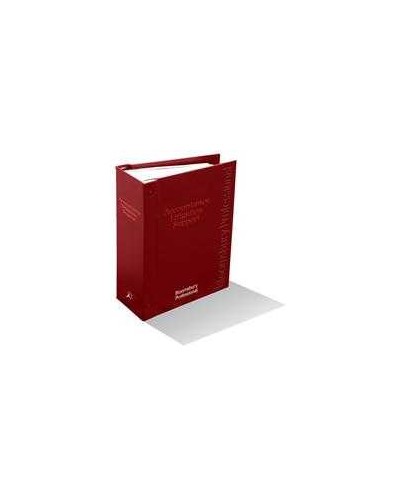 Accountancy Litigation Support