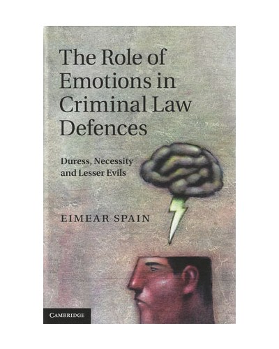 The Role of Emotions in Criminal Law Defences: Duress, Necessity and Lesser Evils 