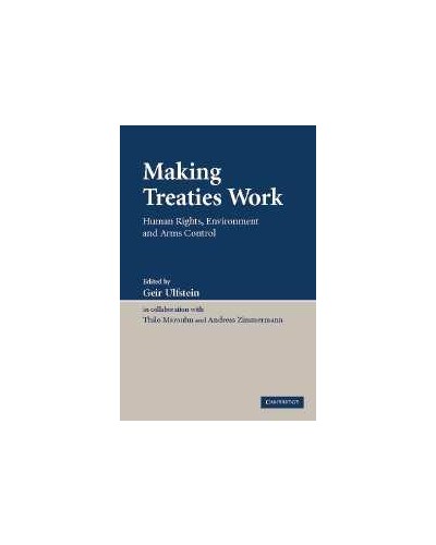 Making Treaties Work: Human Rights, Environment and Arms Control 