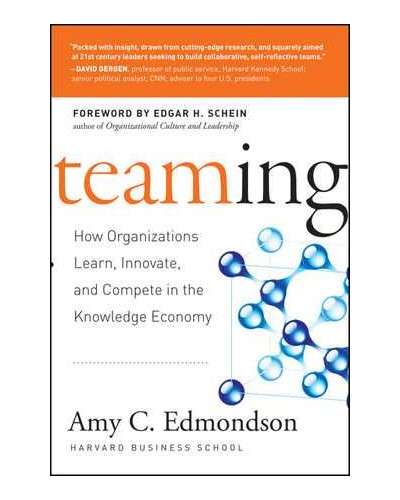 Teaming: How Organizations Learn, Innovate, and Compete in the Knowledge Economy
