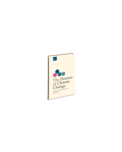 The Finance of Climate Change
