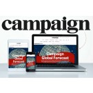 Campaign: The Information (Single-User Digital Access)