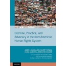 Doctrine, Practice, and Advocacy in the Inter-American Human Rights System