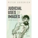 Judicial Uses of Images: Vision in Decision