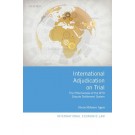 International Adjudication on Trial: The Effectiveness of the WTO Dispute Settlement System