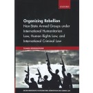 Organizing Rebellion: Non-State Armed Groups under International Humanitarian Law, Human Rights Law, and International Criminal Law