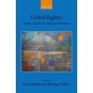 Global Rights? Human Rights in Complex Governance