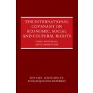 The International Covenant on Economic, Social and Cultural Rights