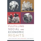 Fulfilling Social and Economic Rights