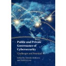 Public and Private Governance of Cybersecurity: Challenges and Potential