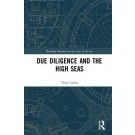 Due Diligence and the High Seas