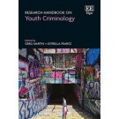Research Handbook on Youth Criminology