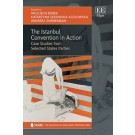The Istanbul Convention in Action: Case Studies from Selected States Parties