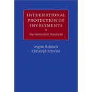 International Protection of Investments: The Substantive Standards