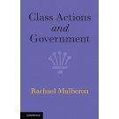 Class Actions and Government