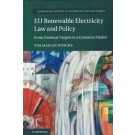 EU Renewable Electricity Law and Policy: From National Targets to a Common Market