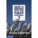What is Wrong with the First Amendment?