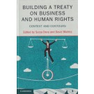 Building a Treaty on Business and Human Rights: Context and Contours