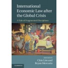 International Economic Law After the Global Crisis: A Tale of Fragmented Disciplines