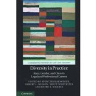 Diversity in Practice: Race, Gender, and Class in Legal and Professional Careers