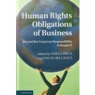 Human Rights Obligations of Business: Beyond the Corporate Responsibility to Respect?