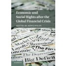 Economic and Social Rights After the Global Financial Crisis