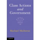 Class Actions and Government