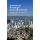 Economic and Social Rights in a Neoliberal World