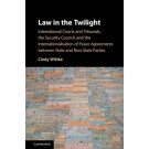 Law in the Twilight: International Courts and Tribunals, the Security Council, and the Internationalisation of Peace Agreements between State and Non-State Parties