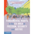 Fundamental Rights in the EU Area of Freedom, Security and Justice