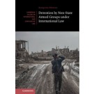 Detention by Non-State Armed Groups under International Law