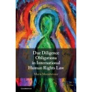 Due Diligence Obligations in International Human Rights Law