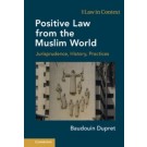 Positive Law from the Muslim World: Jurisprudence, History, Practices