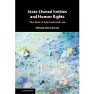 State-Owned Entities and Human Rights: The Role of International Law