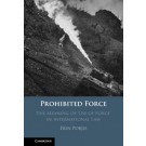 Prohibited Force: The Meaning of ‘Use of Force' in International Law