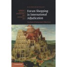 Forum Shopping in International Adjudication: The Role of Preliminary Objections