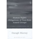 Human Rights Obligations of Non-State Armed Groups
