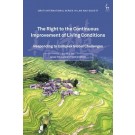 The Right to the Continuous Improvement of Living Conditions: Responding to Complex Global Challenges