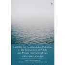 Liability for Transboundary Pollution at the Intersection of Public and Private International Law