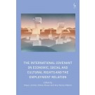 The International Covenant on Economic, Social and Cultural Rights and the Employment Relation