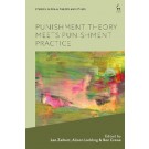 Punishment Theory Meets Punishment Practice