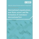 International organisations, non-State actors, and the formation of customary international law