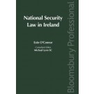 National Security Law in Ireland
