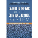 Caught in the Web of the Criminal Justice System: Autism, Developmental Disabilities and Sex Offenses