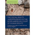 The Social Rights Jurisprudence in the Inter-American Court of Human Rights: Shadow and Light in International Human Rights